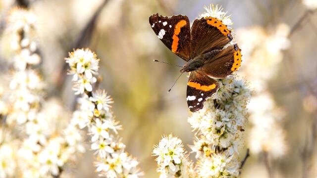 Фото: Global Look Press/Martin Grimm