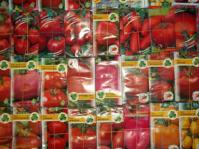 Название семян помидор. Семена помидор в пакетиках. Упаковка семян томатов. Томат семена в пакетиках.