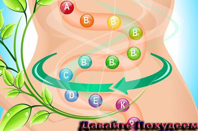 Пробиотики - это живые микроорганизмы, которые полезны для здоровья при употреблении в пищу 
Они найдены как в дополнениях, так и в заквашенной еде.
Probiotics может улучшить пищеварительное здоровье, здоровье сердца и иммунную функцию, для того чтобы назвать несколько 
Несколько исследований также показывают, что пробиотики могут помочь вам потерять вес и жир на животе