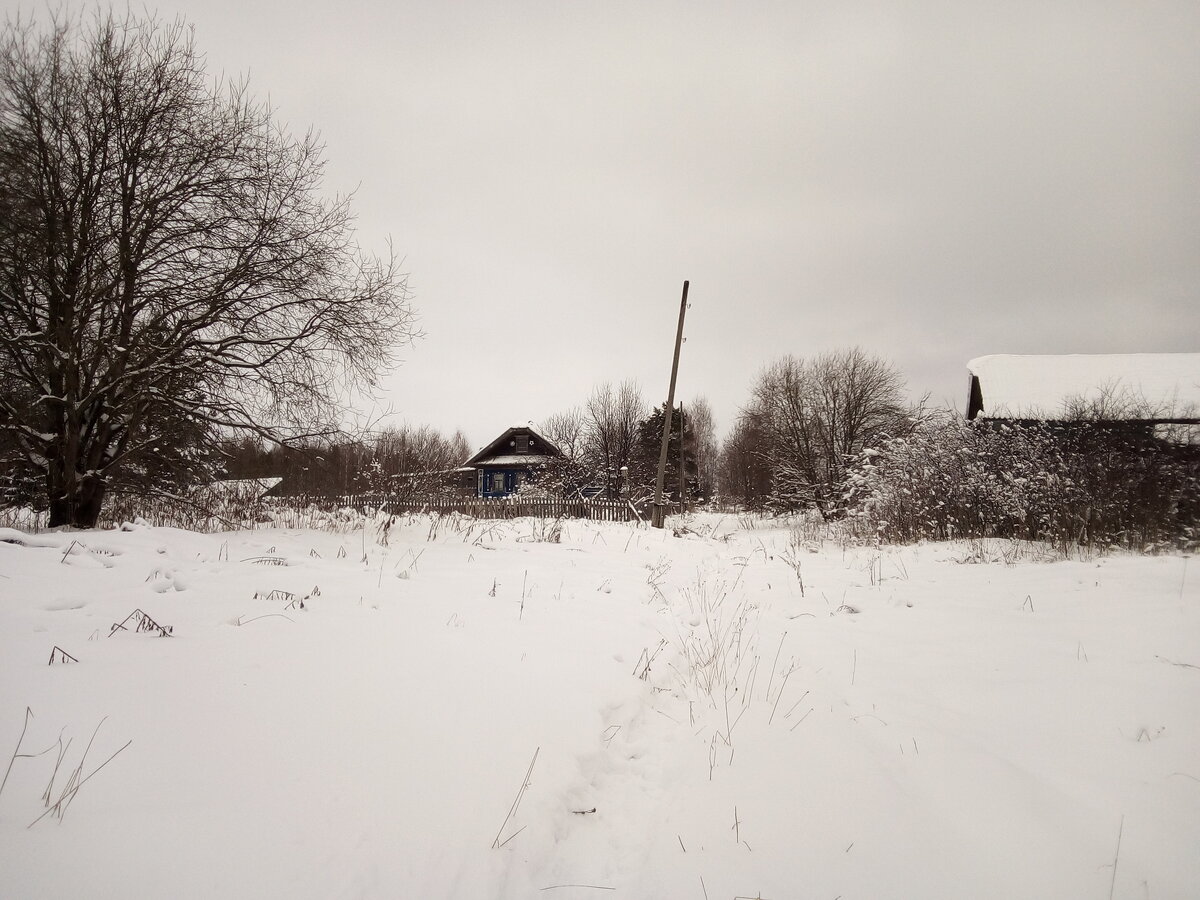 Приключения в деревне