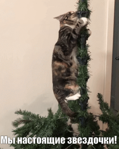 Gif из свободных источников "дополнена каналом Рыжик"