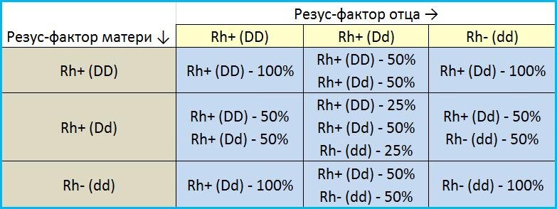 Какова положительная. Таблица наследования резус фактора ребенком. Группы крови таблица наследования с резусом фактором. Наследование группы крови и резус фактора от родителей таблица. Наследование резус фактора у человека таблица.