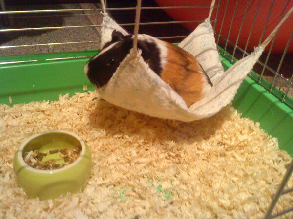 источник: otvet.mail.ru