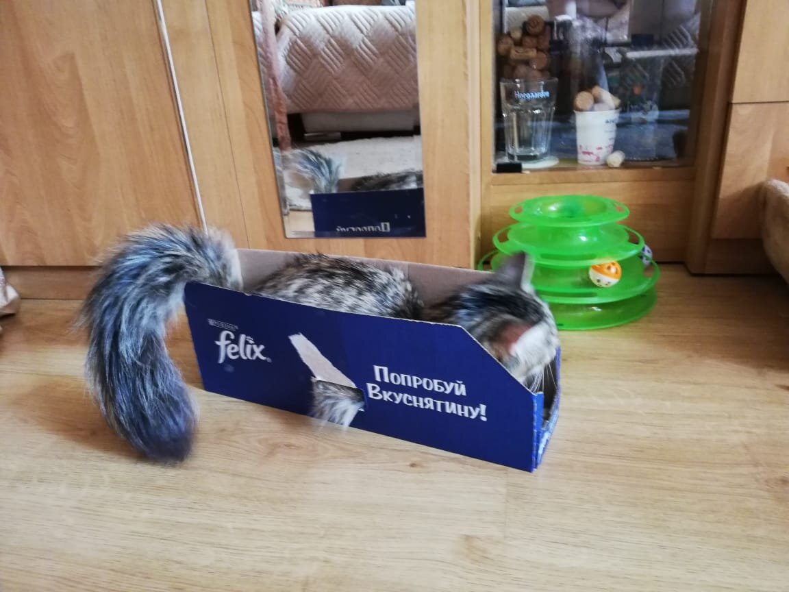 Упаковываемся и подгоняем под индивидуальный размер.