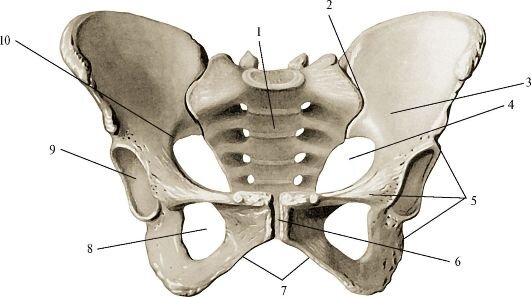 Картинка из поиска Яндекса