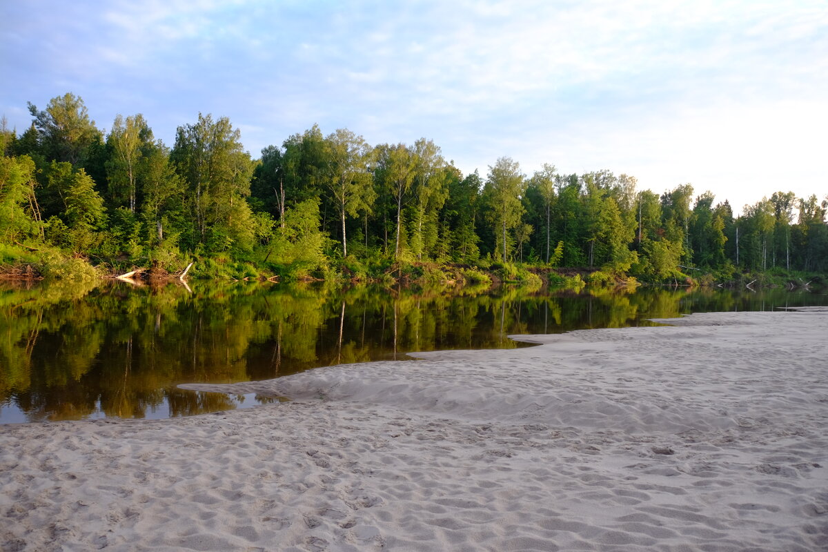 Погода в ветлуге на 10 дней нижегородской