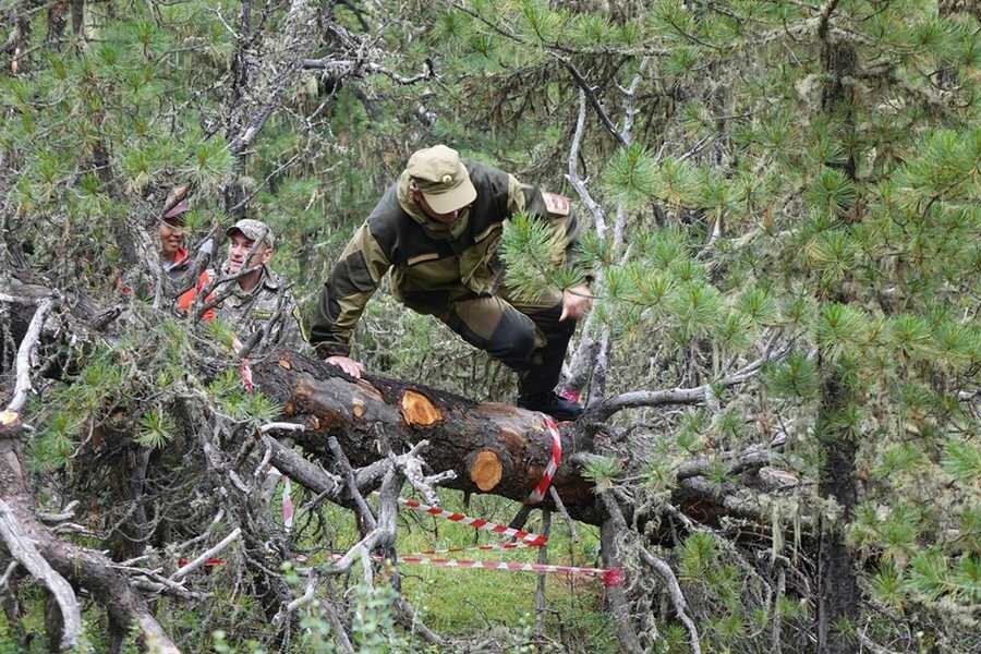 Фото заповедника «Хакасский»