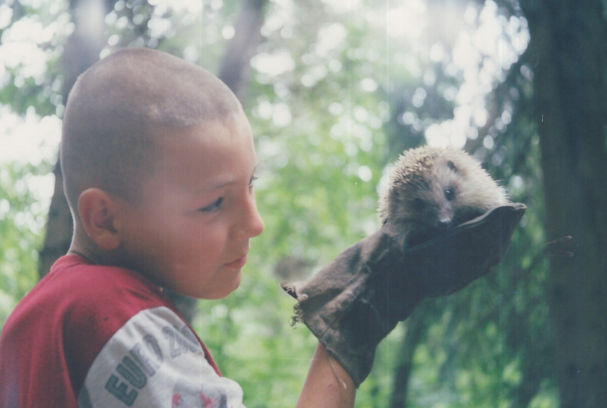 "Так вот ты какой - северный олень!" Фото автора.