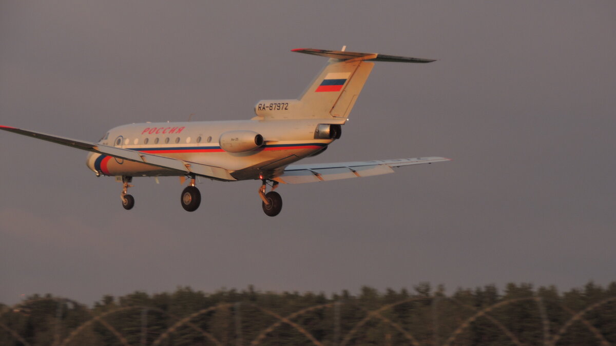 Они еще летают. Собственное фото 25.07.2019 UUWW  