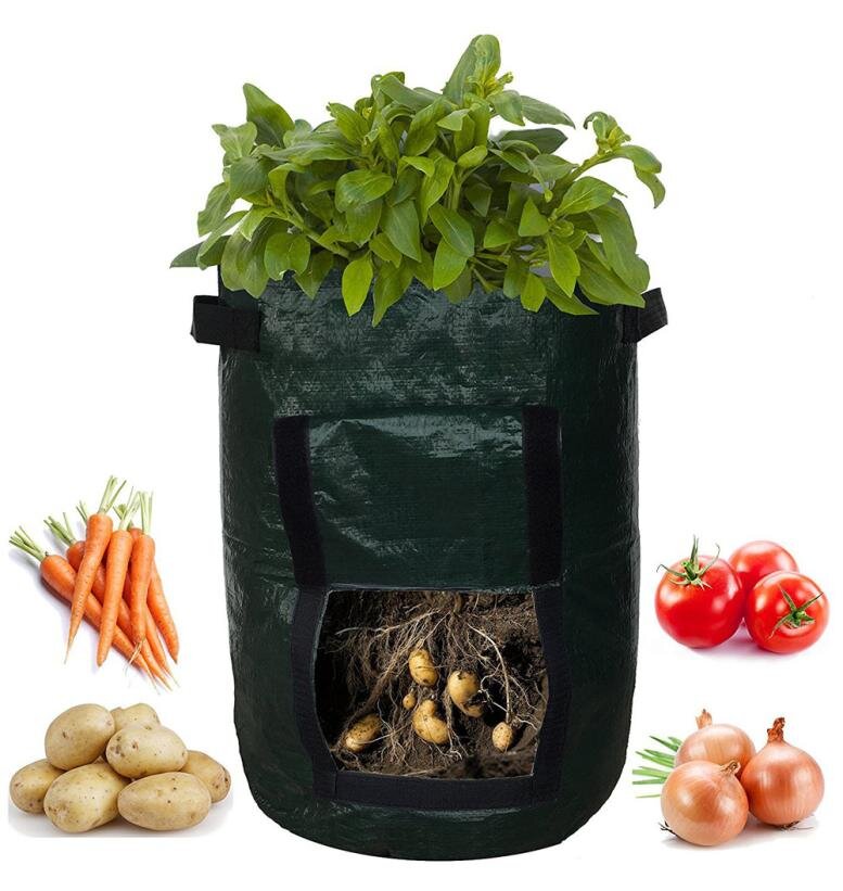 Контейнер для выращивания. Фотография с сервиса AliExpress