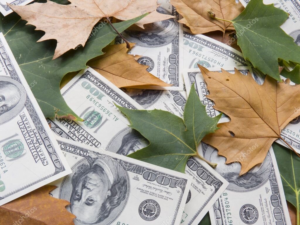 Листья деньги. Деньги растут. Деньги из листочков. Leaf money. Осень и деньги.