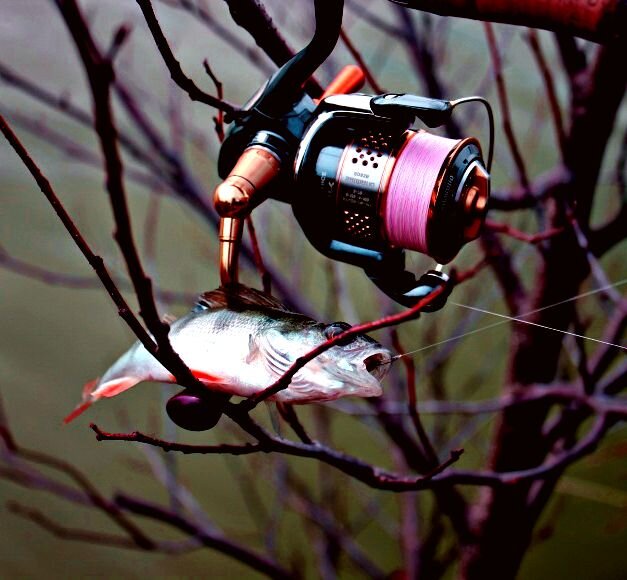 Мелочь, а приятно...