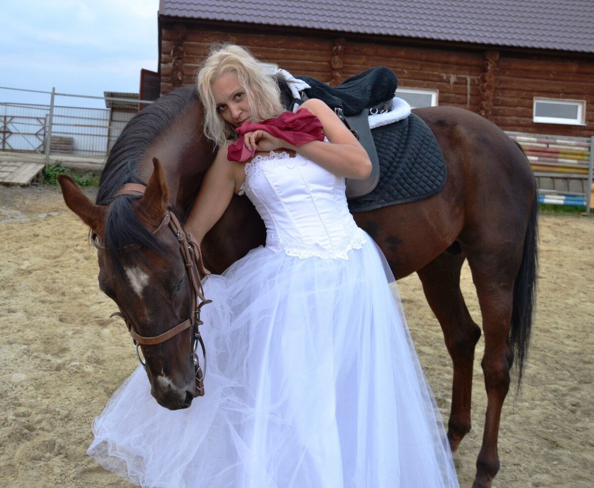 Фото из личного архива. Буденновский жеребец Зембриг.