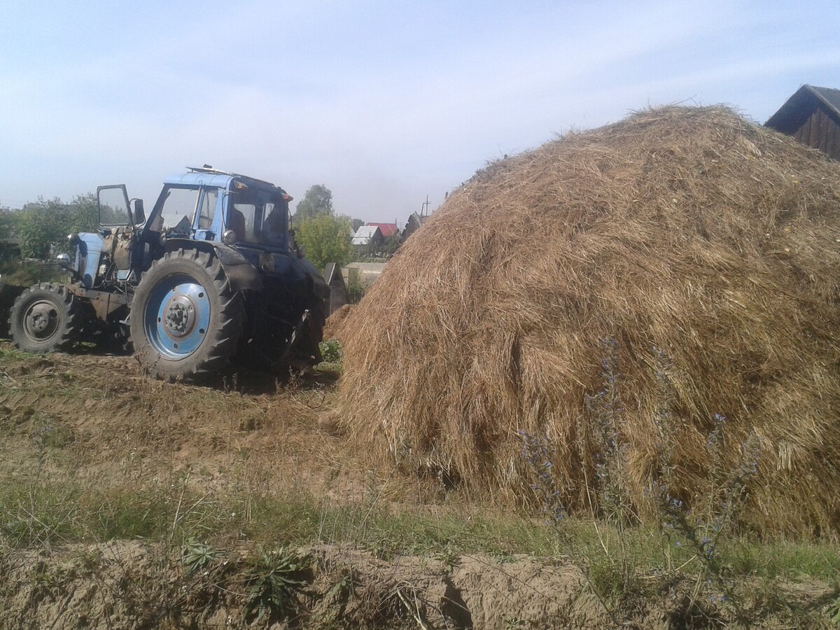Стог никак не хотел въезжать в ограду.