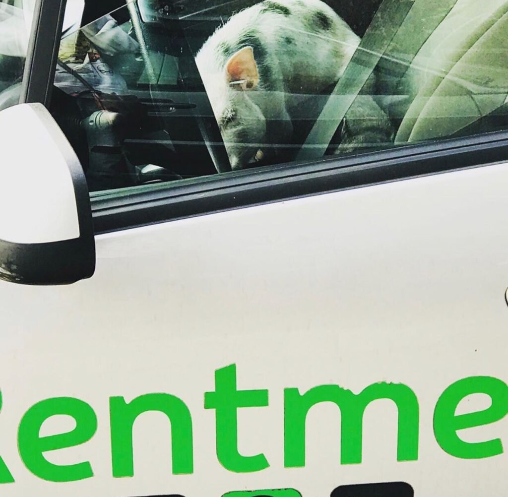 © Фото: группа "Подслушано каршеринг"