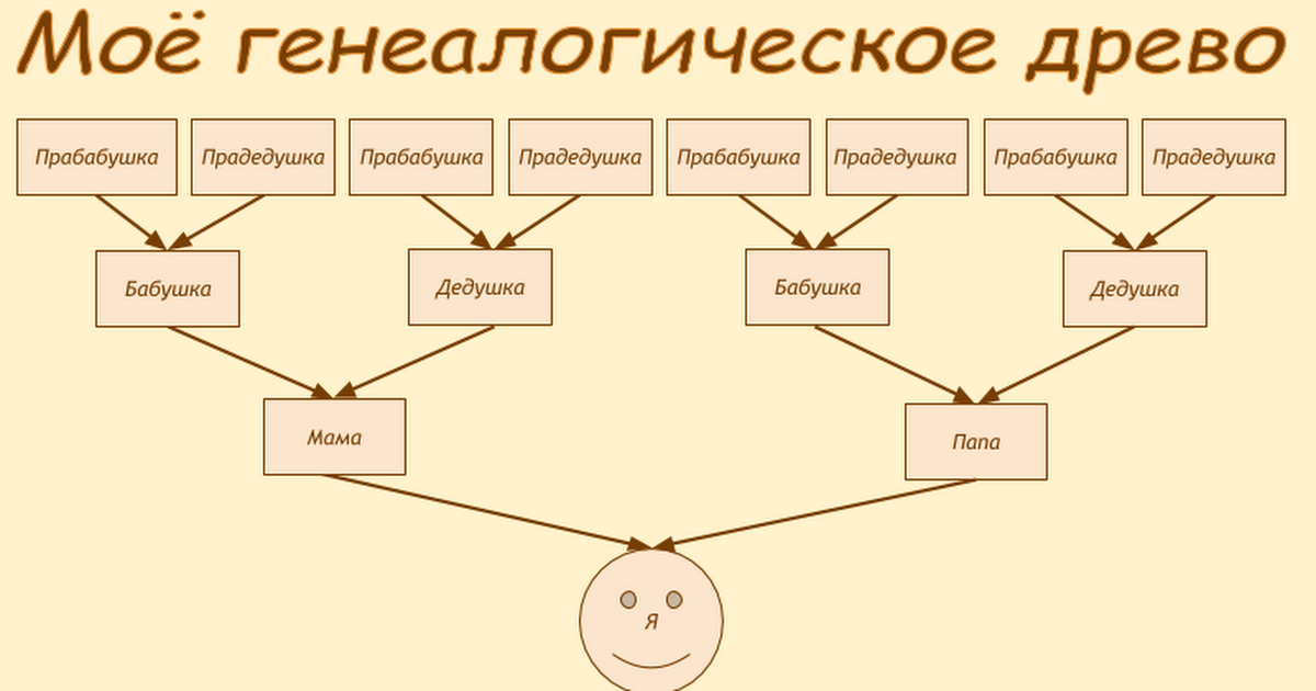 Сколько поколений изображено на схеме