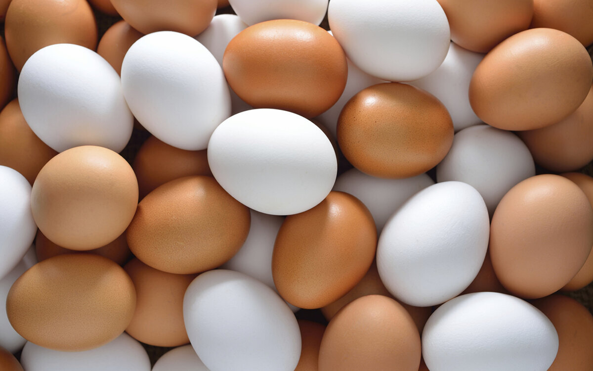Учёные Назвали Лучший Продукт — Яйца