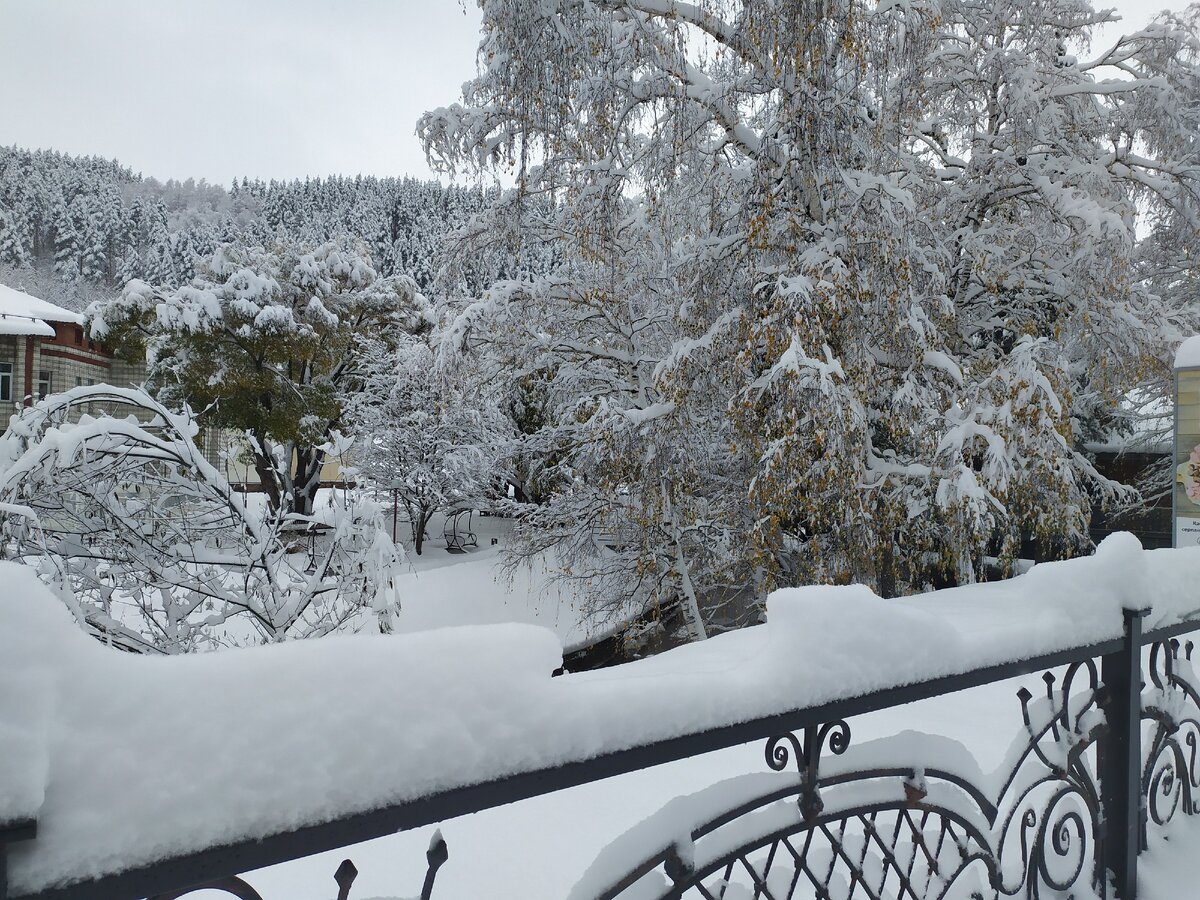 Утром 21 октября