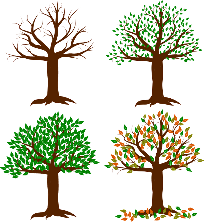 https://pixabay.com/vectors/seasons-of-the-year-spring-summer-1994663/