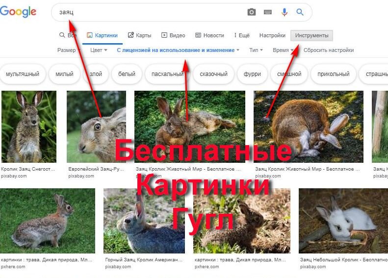 Поиск изображений на Гугл