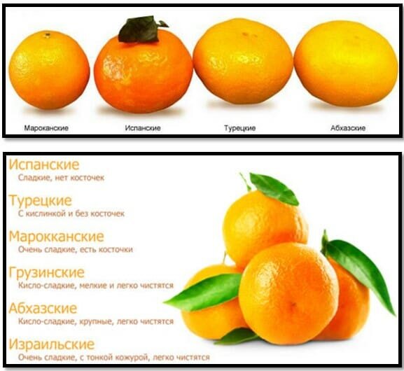 Основные сорта мандарин