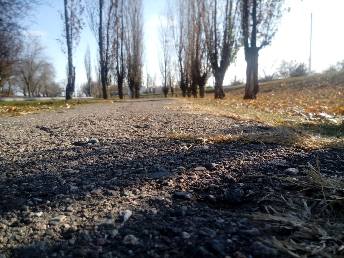 Дорога