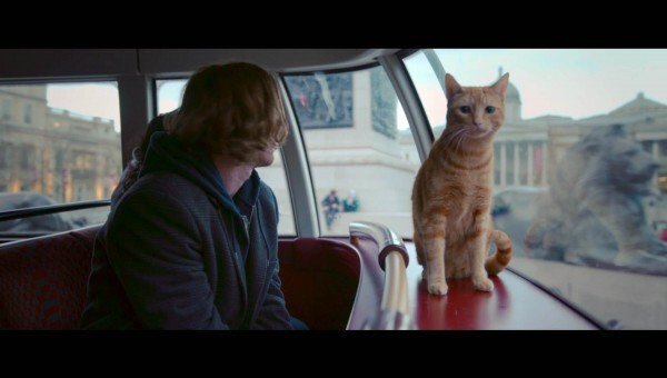 Сцена из кинофильма "Уличный кот по кличке боб"