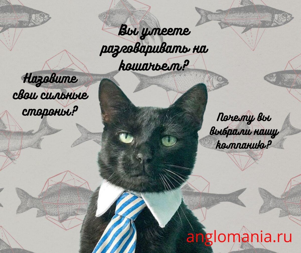 КАК ЗАСТАВИТЬ РАБОТОДАТЕЛЯ ОТКРЫТЬ ВАШЕ РЕЗЮМЕ, И ПРИЧЁМ ТУТ АНГЛИЙСКИЙ? |  Английский с Дарьей Ваулиной | Дзен