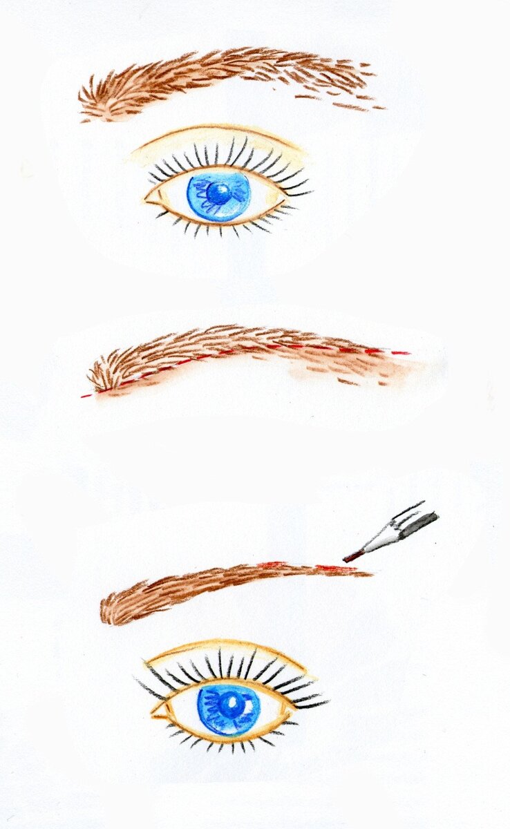 Попытки выщипывать брови "на глаз" приведут к неминуемой асимметрии двух половин лица. Когда вы сначала безопасно рисуете правильную линию брови, а только потом беретесь за щипцы гарантирует вас от ошибок