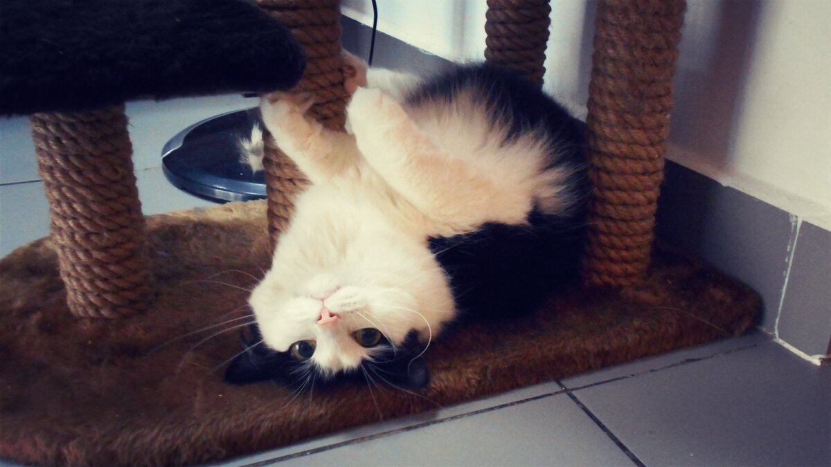 Фото: соцсети