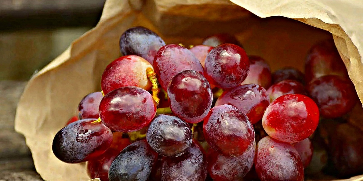 Из интернета в свободном доступе