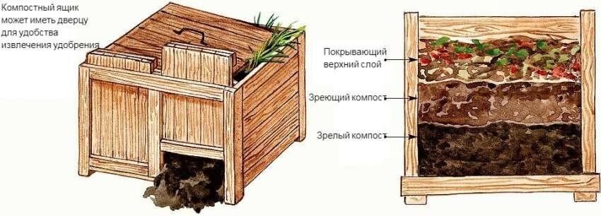 Компостная яма или куча? Удобрение своими руками