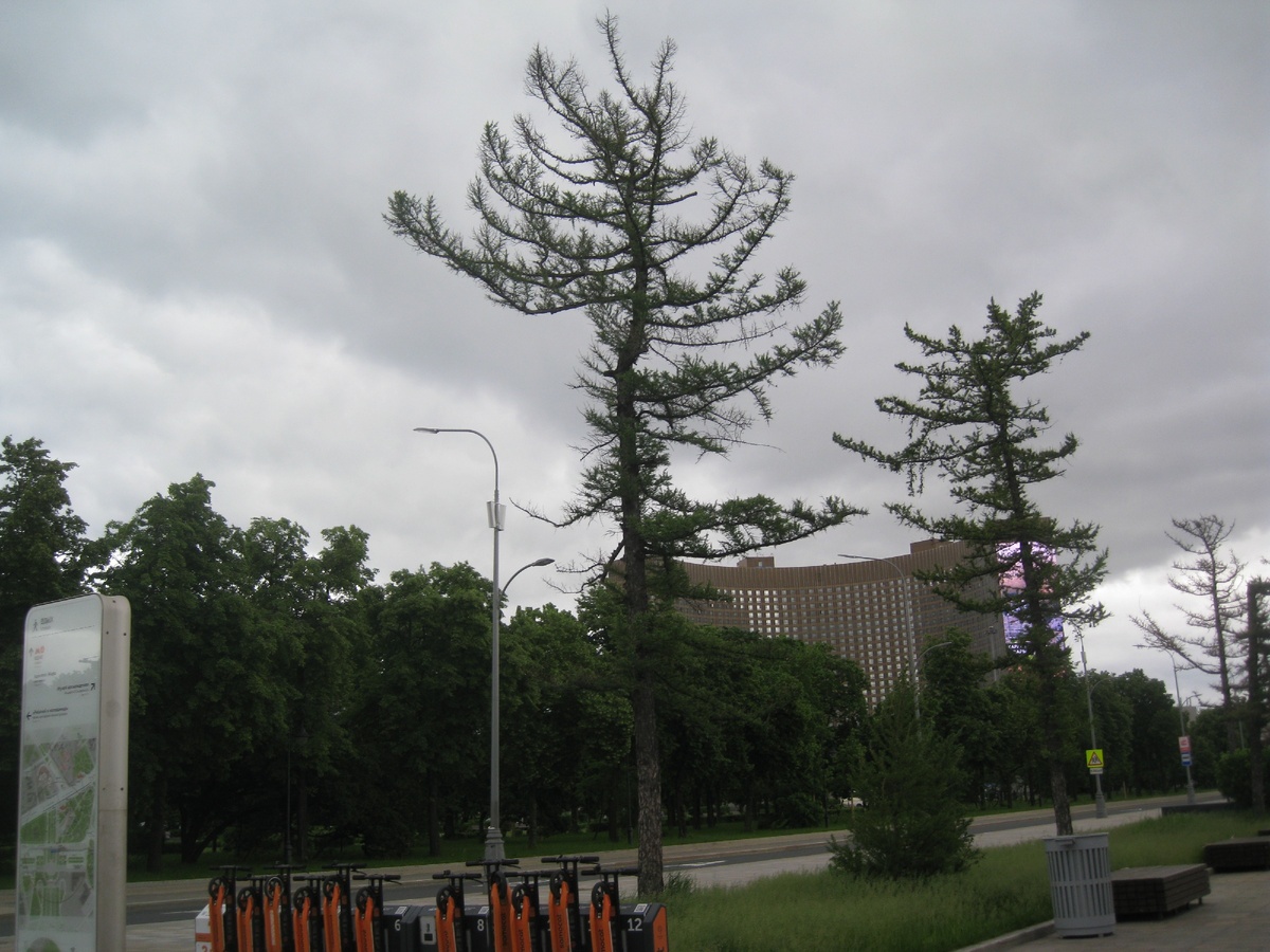 ВДНХ. Лето 2020. Фото автора. 