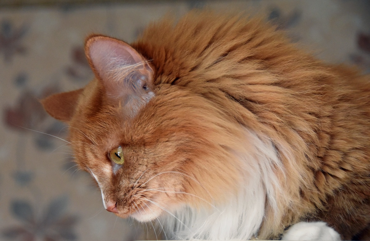 сверху все видно