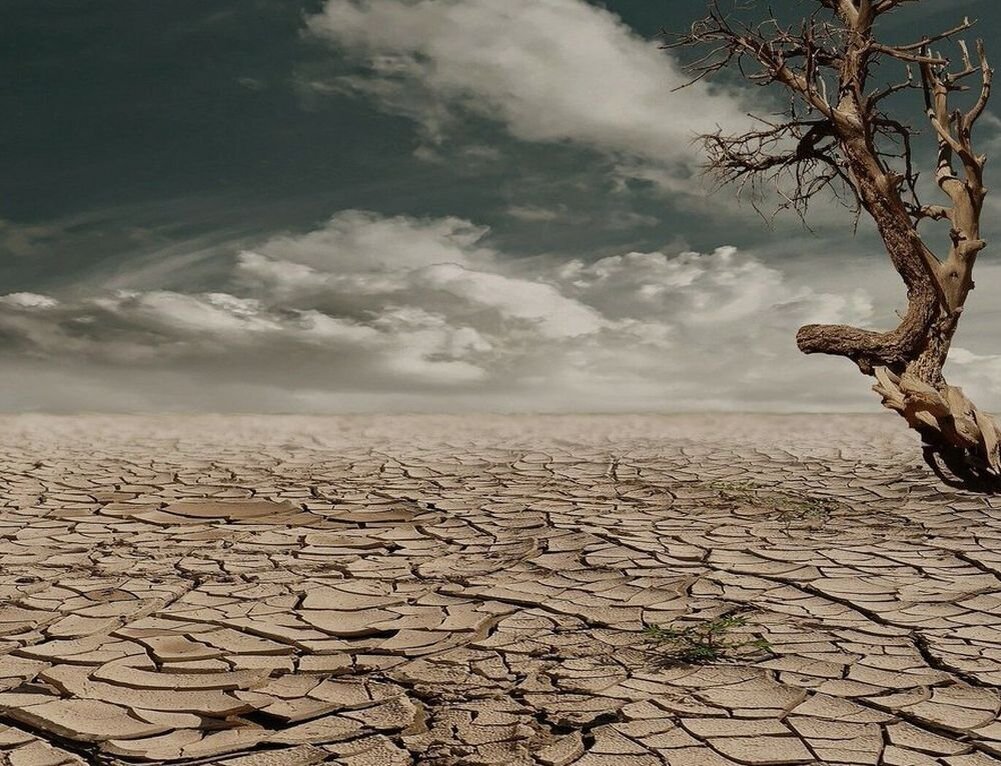 Последствия экоцида. Источник: fruugo.eg