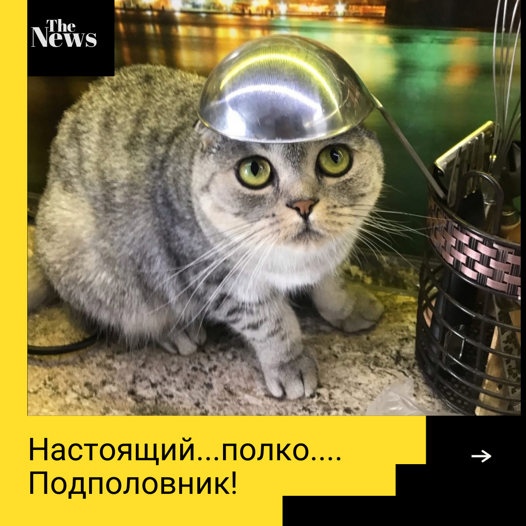 Я кто вообще?