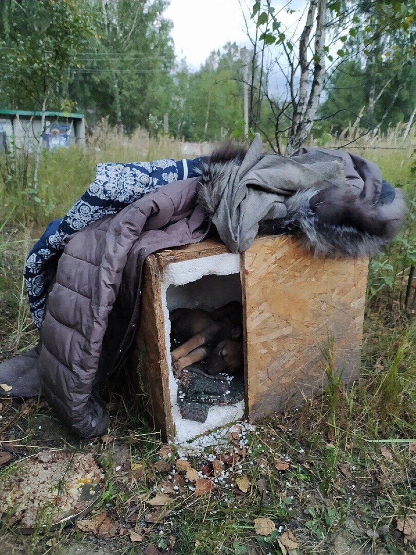 Фото- собственность канала
