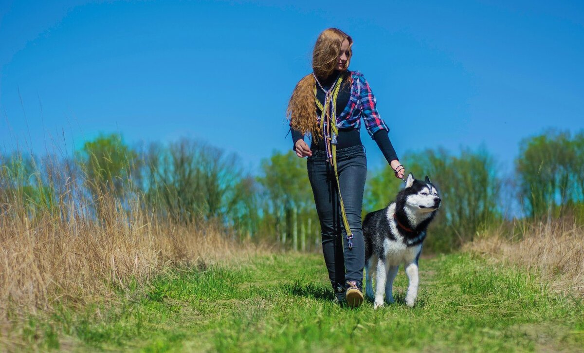 Это я и Бес. Я не кинолог, не провожу курсов☝