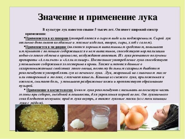 Если замучила мочекаменная болезнь, достаточно ежедневно принимать по две столовые ложки сока овоща трижды в день после принятия пищи, и болезнь постепенно отступит. 