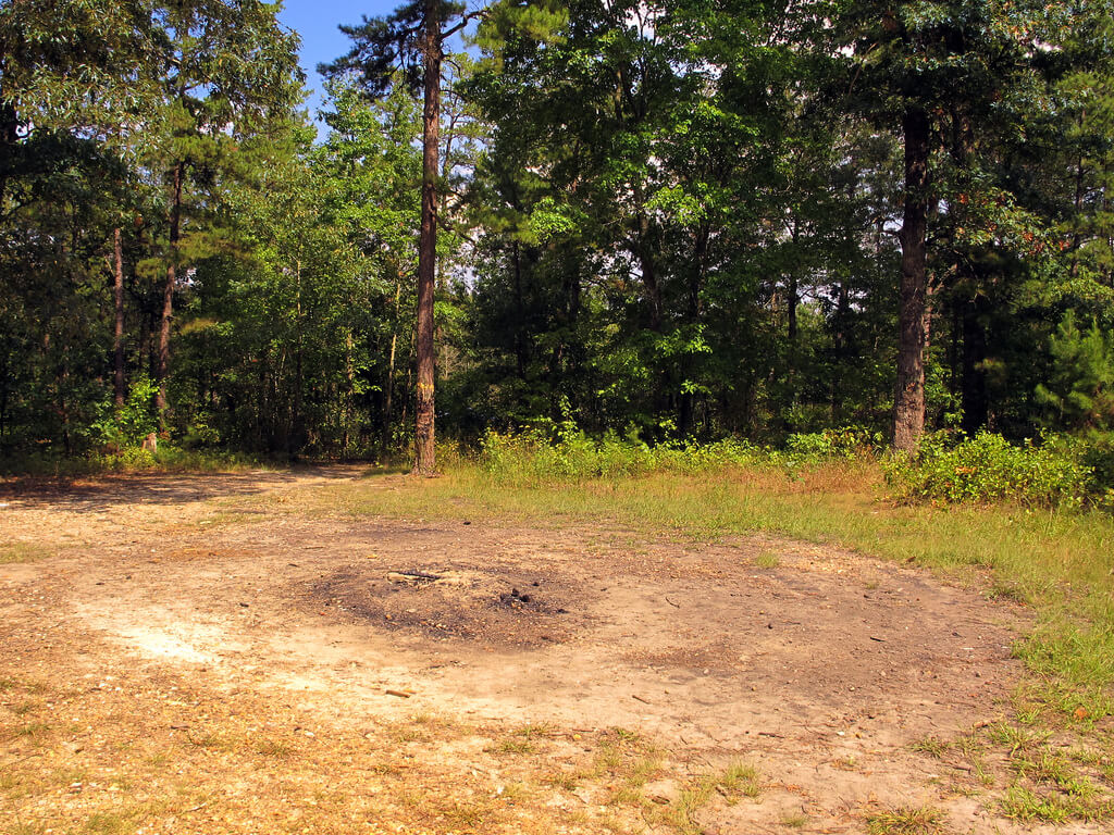 Несмотря на то, что Земля расположена посреди густого старого леса Беар-Крик, это место пусто от всего живого. Ширина поляны составляет около 12 метров, и люди, зашедшие туда, утверждали, что были свидетелями целого ряда странных происшествий.
