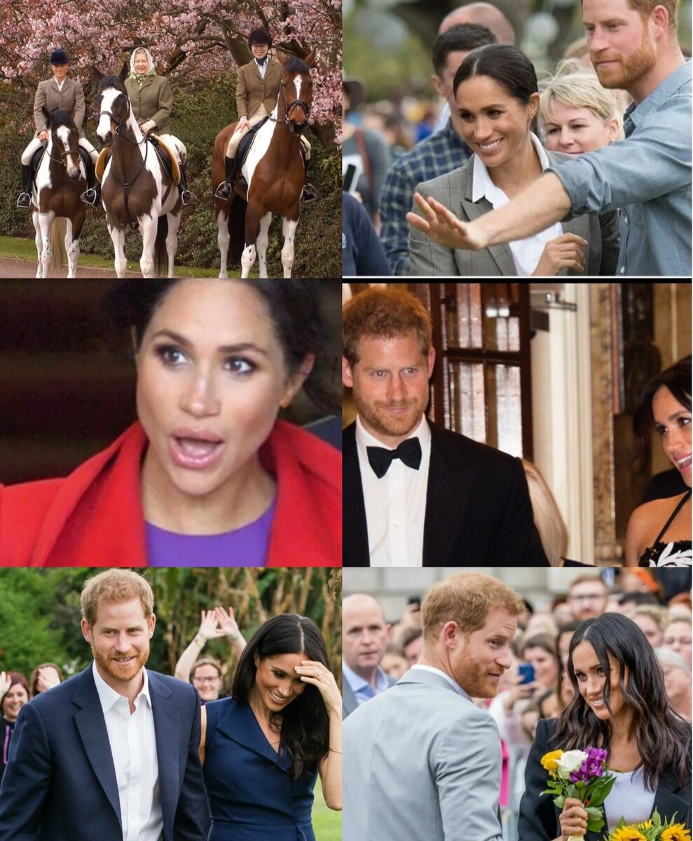 Коллаж автора.