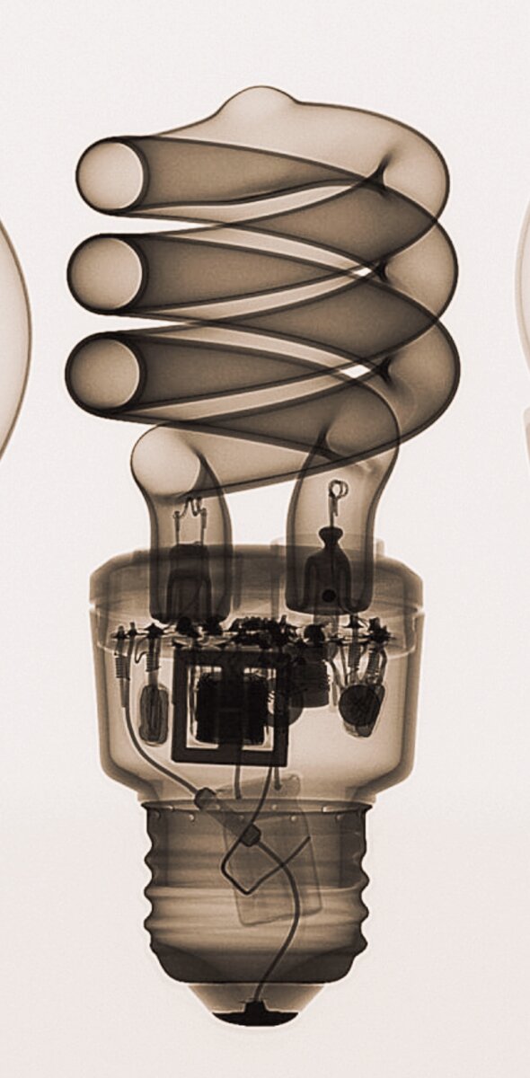 Газоразрядная или люминесцентная лампочка. 