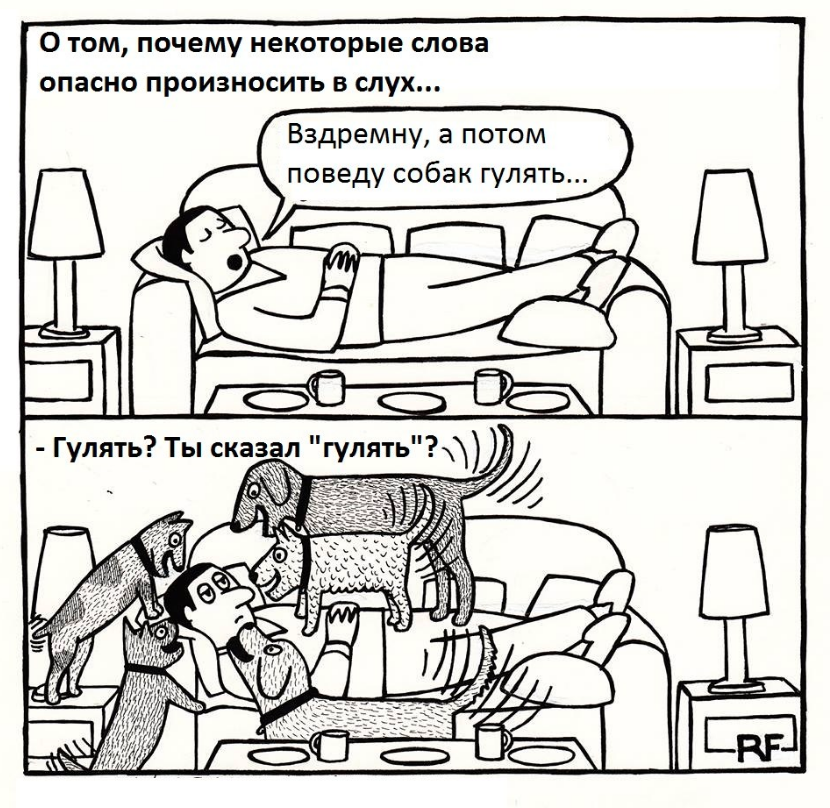 прогулка в городе. подруги гуляют. девушка прагулка с собака. катание на роликовых коньках. люди гуляют.