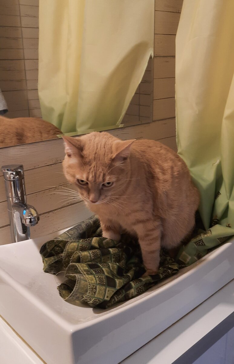 РЕшающий момент. Скизи на старте...