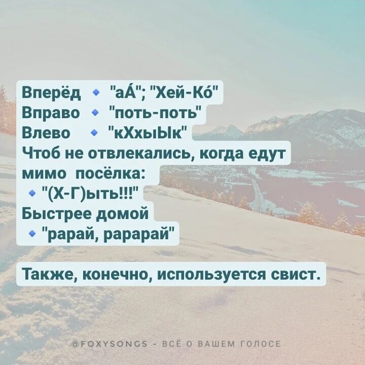 Коллаж автора