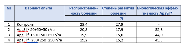 Развитие альтернариоза на растениях томата в фазу начала созревания плодов первой кисти (28.08.2021)