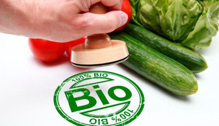 Фото: из открытых источников