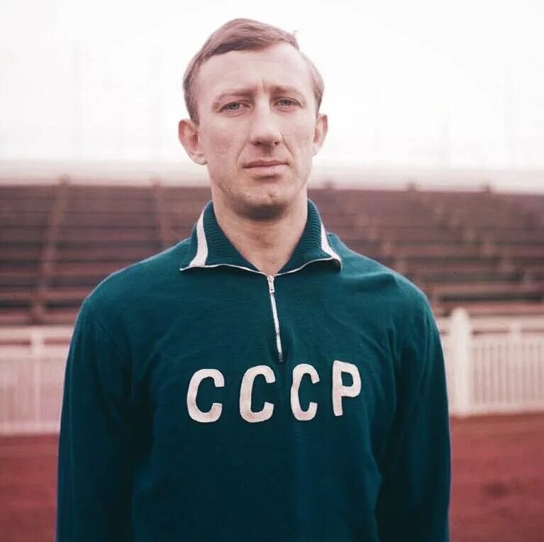 Нетто. Фото из открытых источников сети Интернет 