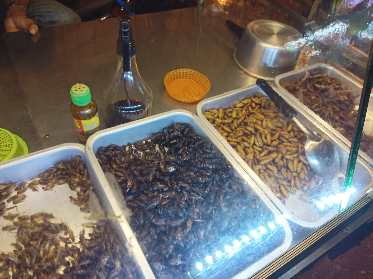 жареные насекомые