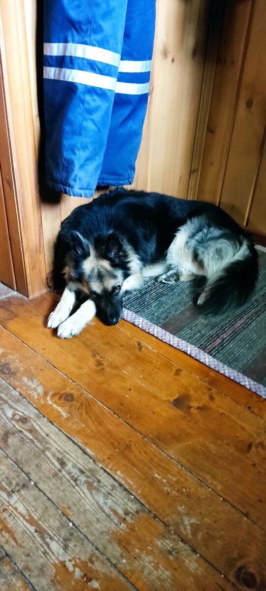 Фото автора. 